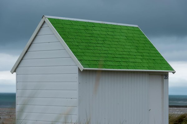 Discover Cornwall's Secret Garden Gems: Unique Guided Tours of Rare & Exotic Plants